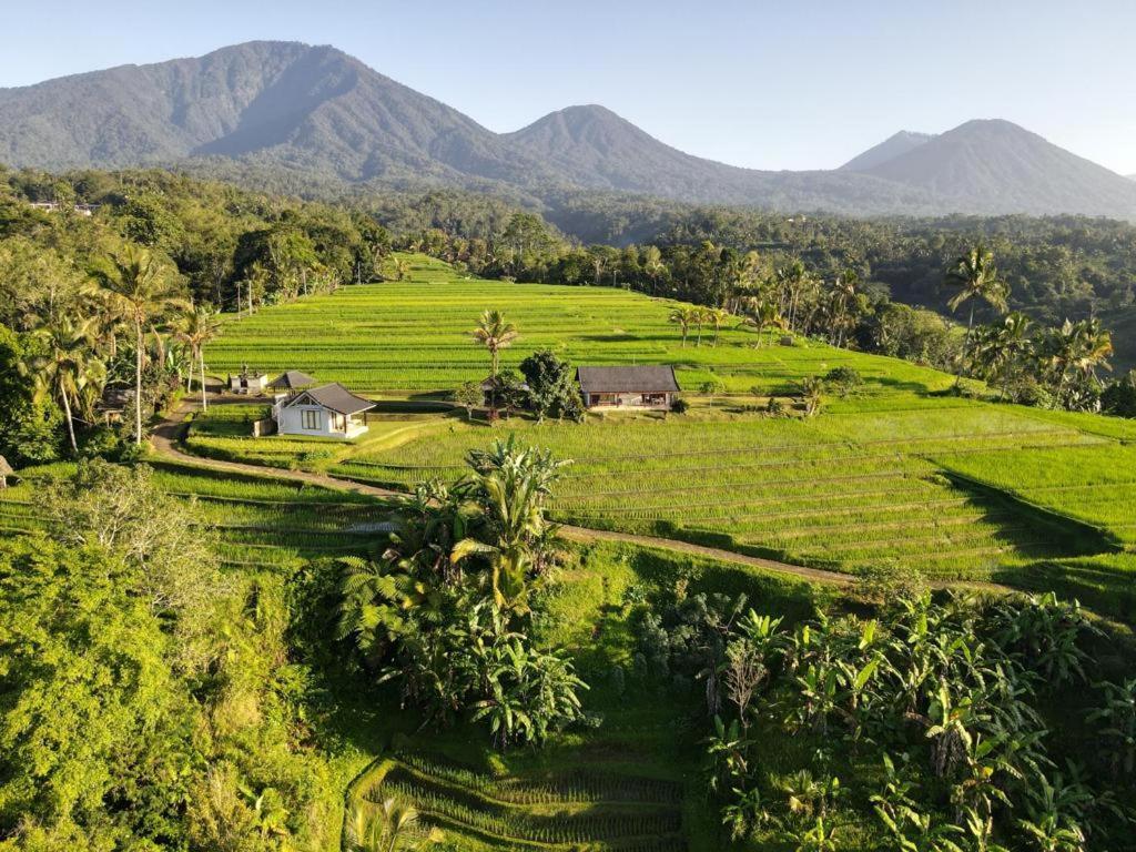 Kubu D'Ume Homestay Джатилувих Экстерьер фото