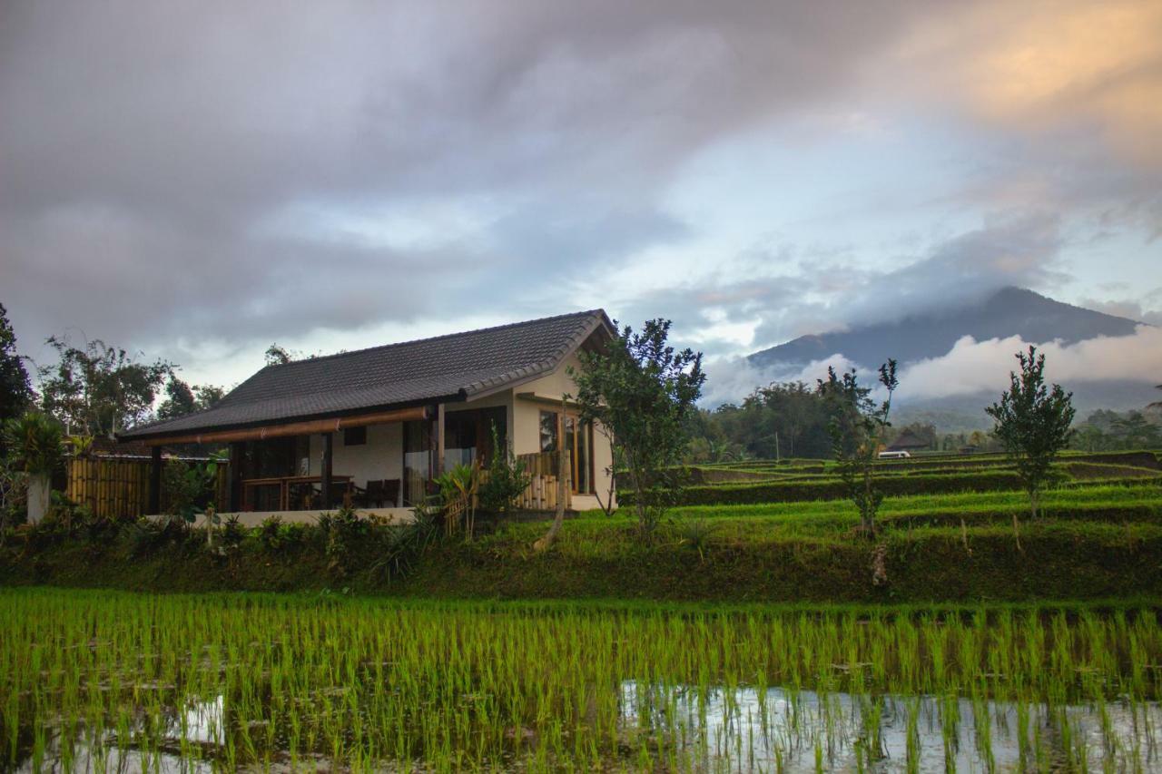 Kubu D'Ume Homestay Джатилувих Экстерьер фото