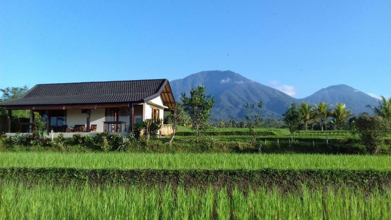 Kubu D'Ume Homestay Джатилувих Экстерьер фото