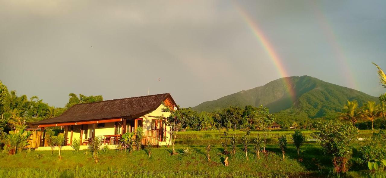 Kubu D'Ume Homestay Джатилувих Экстерьер фото