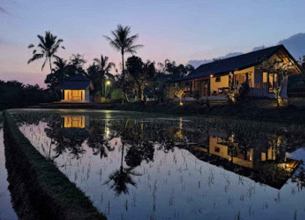 Kubu D'Ume Homestay Джатилувих Экстерьер фото