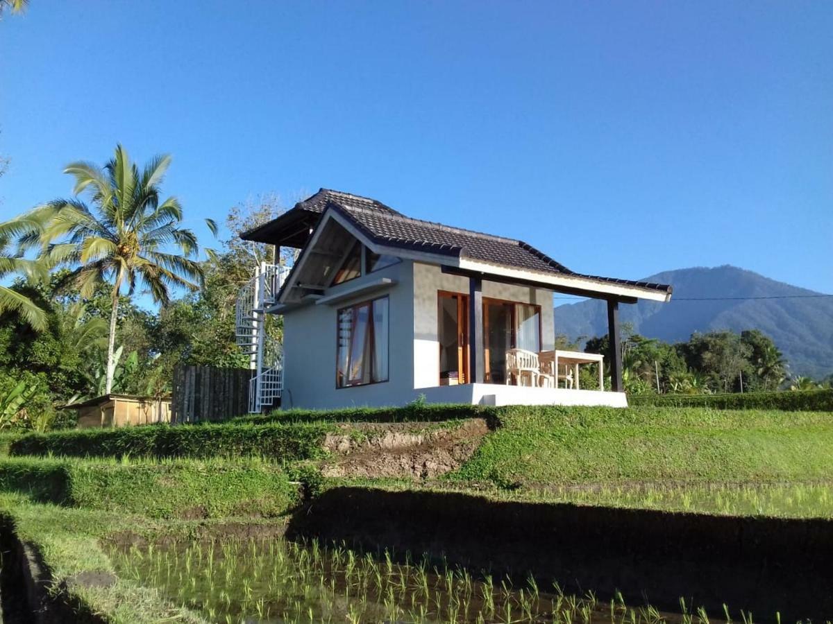 Kubu D'Ume Homestay Джатилувих Экстерьер фото
